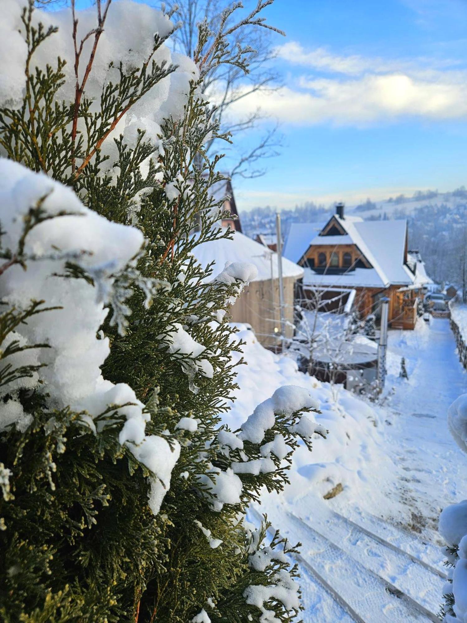 זקופאנה Goralska Chatka 3 Highland Cottage - Jacuzzi, Sauna, Split Ac, Private Parking, Mountains View מראה חיצוני תמונה